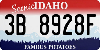 ID license plate 3B8928F