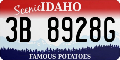 ID license plate 3B8928G