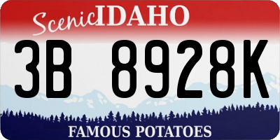 ID license plate 3B8928K