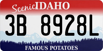 ID license plate 3B8928L