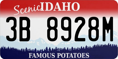 ID license plate 3B8928M