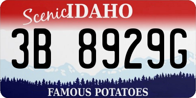 ID license plate 3B8929G