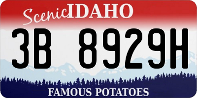 ID license plate 3B8929H