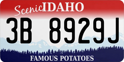 ID license plate 3B8929J