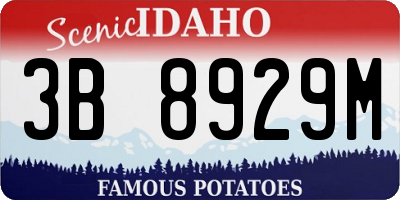 ID license plate 3B8929M