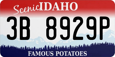 ID license plate 3B8929P