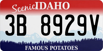 ID license plate 3B8929V