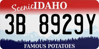 ID license plate 3B8929Y