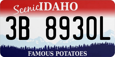 ID license plate 3B8930L