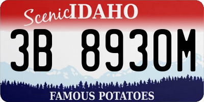 ID license plate 3B8930M