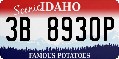 ID license plate 3B8930P