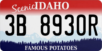 ID license plate 3B8930R