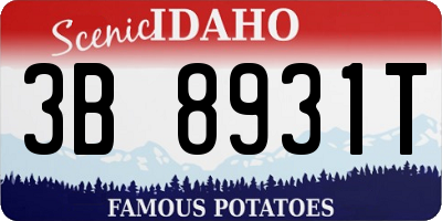 ID license plate 3B8931T
