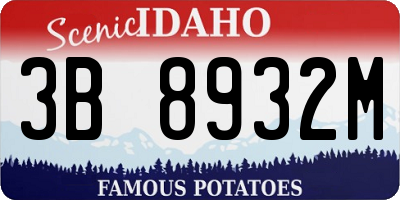 ID license plate 3B8932M