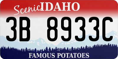 ID license plate 3B8933C