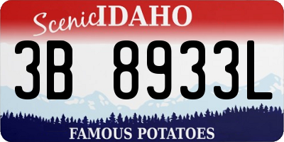 ID license plate 3B8933L