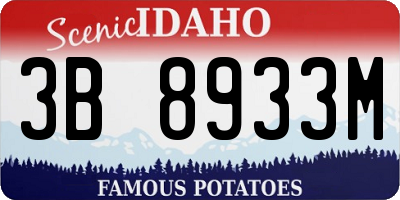 ID license plate 3B8933M