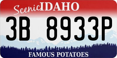 ID license plate 3B8933P
