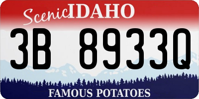ID license plate 3B8933Q