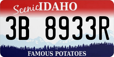 ID license plate 3B8933R