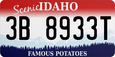ID license plate 3B8933T