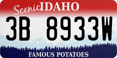 ID license plate 3B8933W