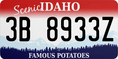 ID license plate 3B8933Z