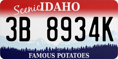 ID license plate 3B8934K