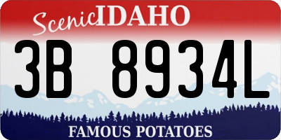 ID license plate 3B8934L