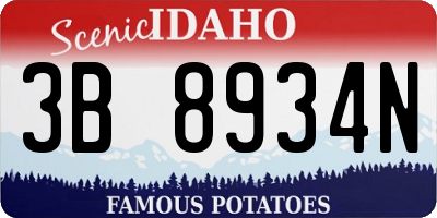 ID license plate 3B8934N