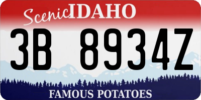 ID license plate 3B8934Z