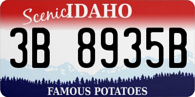 ID license plate 3B8935B