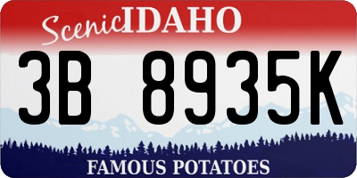 ID license plate 3B8935K