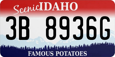 ID license plate 3B8936G