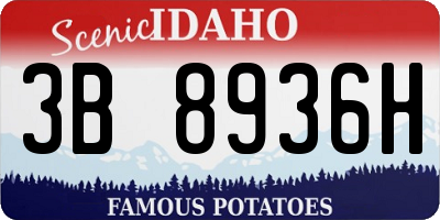 ID license plate 3B8936H