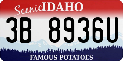 ID license plate 3B8936U