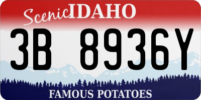 ID license plate 3B8936Y