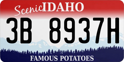 ID license plate 3B8937H