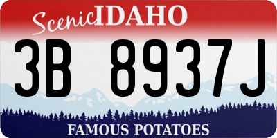 ID license plate 3B8937J