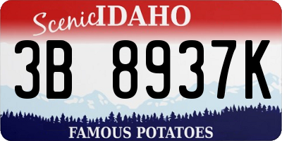 ID license plate 3B8937K