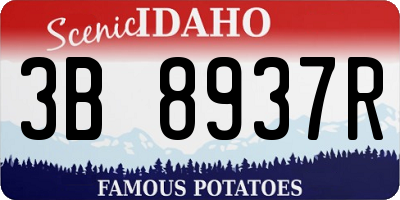 ID license plate 3B8937R