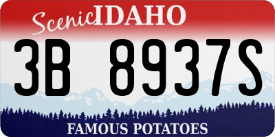 ID license plate 3B8937S