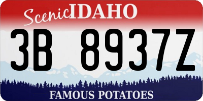 ID license plate 3B8937Z