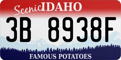 ID license plate 3B8938F