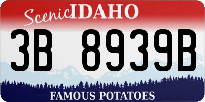 ID license plate 3B8939B