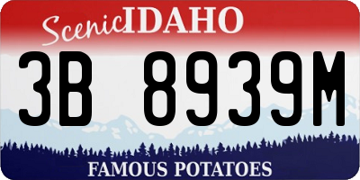 ID license plate 3B8939M