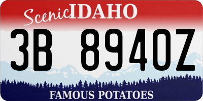 ID license plate 3B8940Z