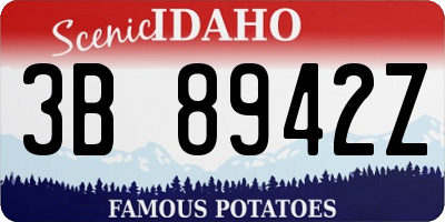 ID license plate 3B8942Z