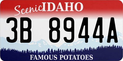 ID license plate 3B8944A