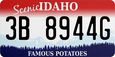 ID license plate 3B8944G